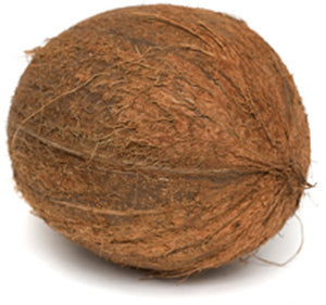 Coconut
