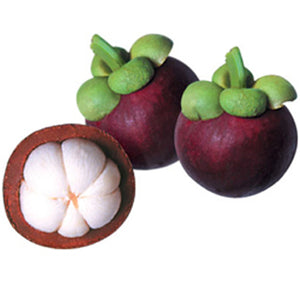 Blue Mangosteens