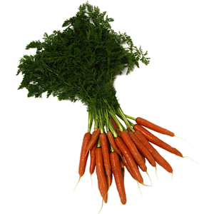 Dutch Carrots