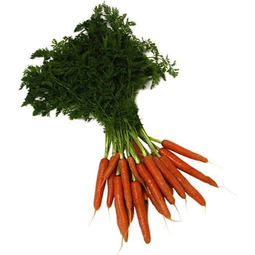 Dutch Carrots